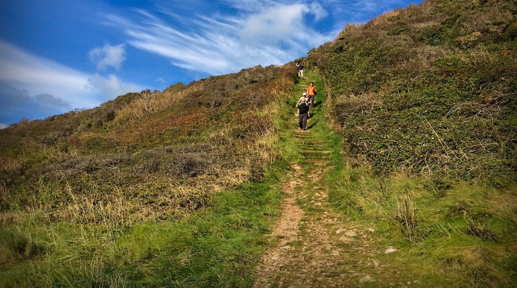 Why should things be easy to understand?
Thomas Pynchon
Water, like humans, wants to go downhill. Gravity, our great great Grandfather, attracts everything to the centre of the object with the largest mass which, in our case, is the Earth. Why there is gravity is a much deeper and more difficult question.
#hiking
http://www.universetoday.com/75705/where-does-gravity-come-from/