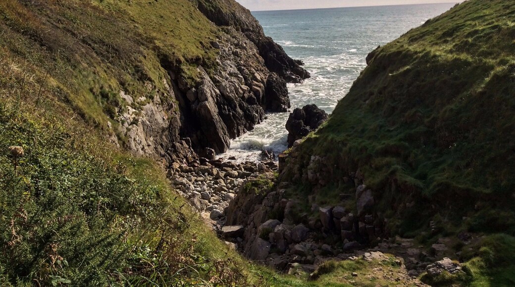 For whatever we lose (like a you or a me),
It's always our self we find in the sea.
― E.E. Cummings
With 97 percent of the world's water being in the ocean, it is not surprising that we find ourselves in the sea. Our great Mother comprises over 90% of the Earth's habitable space and is home to 50-80% of all life on the planet. It also produces more than 50% of the oxygen we need to breathe in order to live. We might want to consider taking better care of it.
#hiking
http://oceanservice.noaa.gov/facts/oceanwater.html
http://www.unesco.org/new/en/natural-sciences/ioc-oceans/priority-areas/rio-20-ocean/blueprint-for-the-future-we-want/marine-biodiversity/facts-and-figures-on-marine-biodiversity/
http://oceanexplorer.noaa.gov/facts/oceanproduction.html