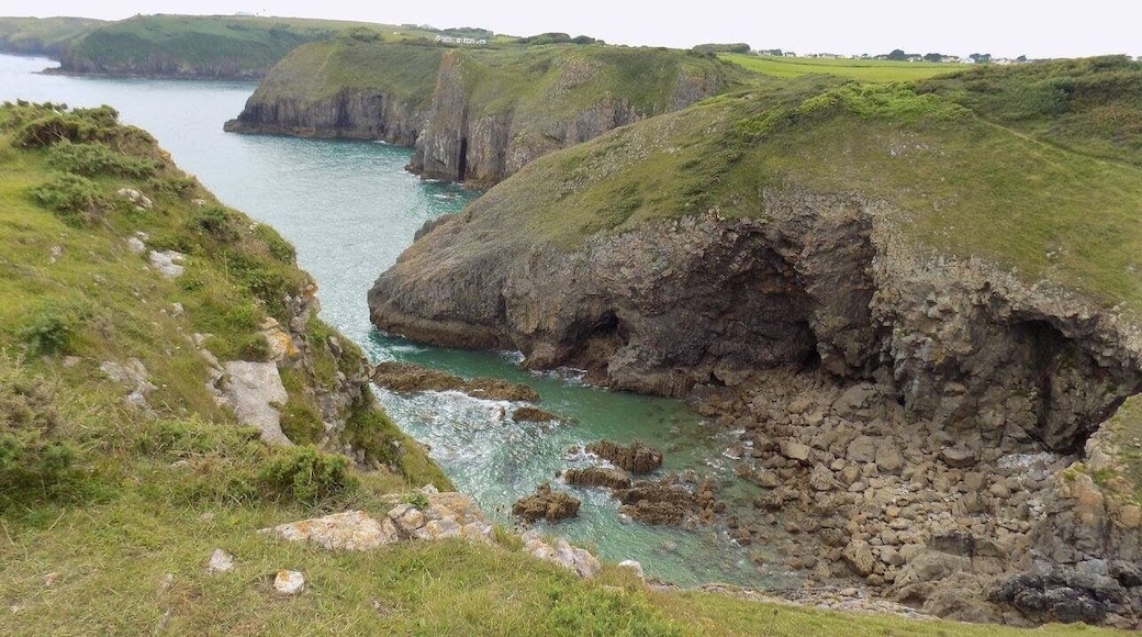 Lydstep, Pembrokeshire, Wales, UK.
#Vacation #Holiday #Trip #Travel #Summer #Wales #Pembrokeshire #PembrokeshireCoast #NationalPark #Countryside #Seaside #Nature #Walking #Hiking #Outdoors #GetOutside #Exploring #Adventure #TheGreatOutdoors #WildPlaces #GreatBritain #BritainsBreathingSpaces