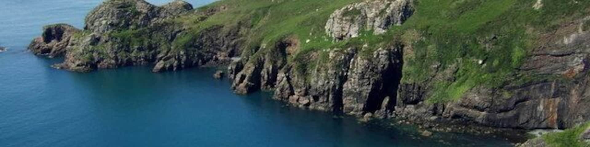 Foxgloves above Pwll Deri View northeastwards from the coast path over Pwll Deri towards the lighthouse at Strumble Head, with the foxgloves at their height in early June. There are two wrecks in the bay, visitable by divers. In 1888 the Vendome, a Welsh coal steamer, struck the rocks and sank, and in 1944 the Dan Beard, a US Liberty Ship that had seen action during the D Day landings, was torpedoed here.