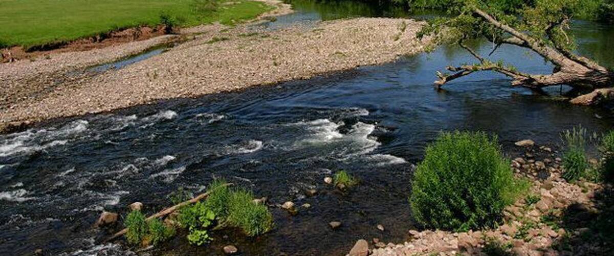 A river with a fallen tree, a grassy field, and hills in the background.