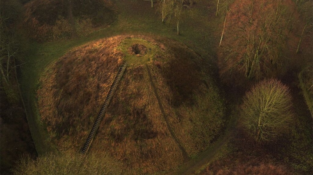 A picture of Bartlow Hills, taken by Bill Blake, http://www.bill-blake.co.uk