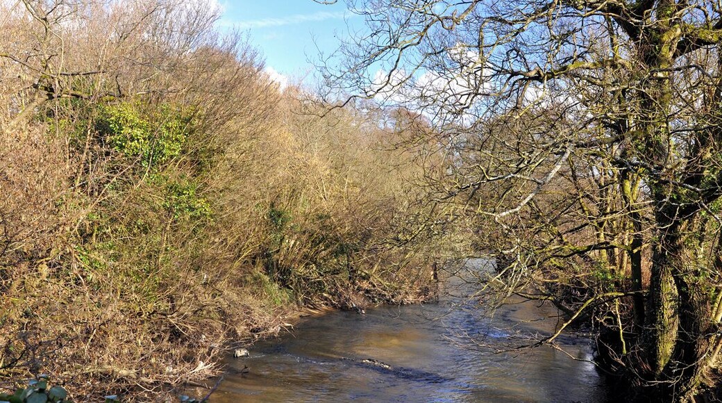 The River Ely - St George's