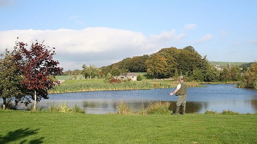 Angler trying his skill at Mossat Fishery.