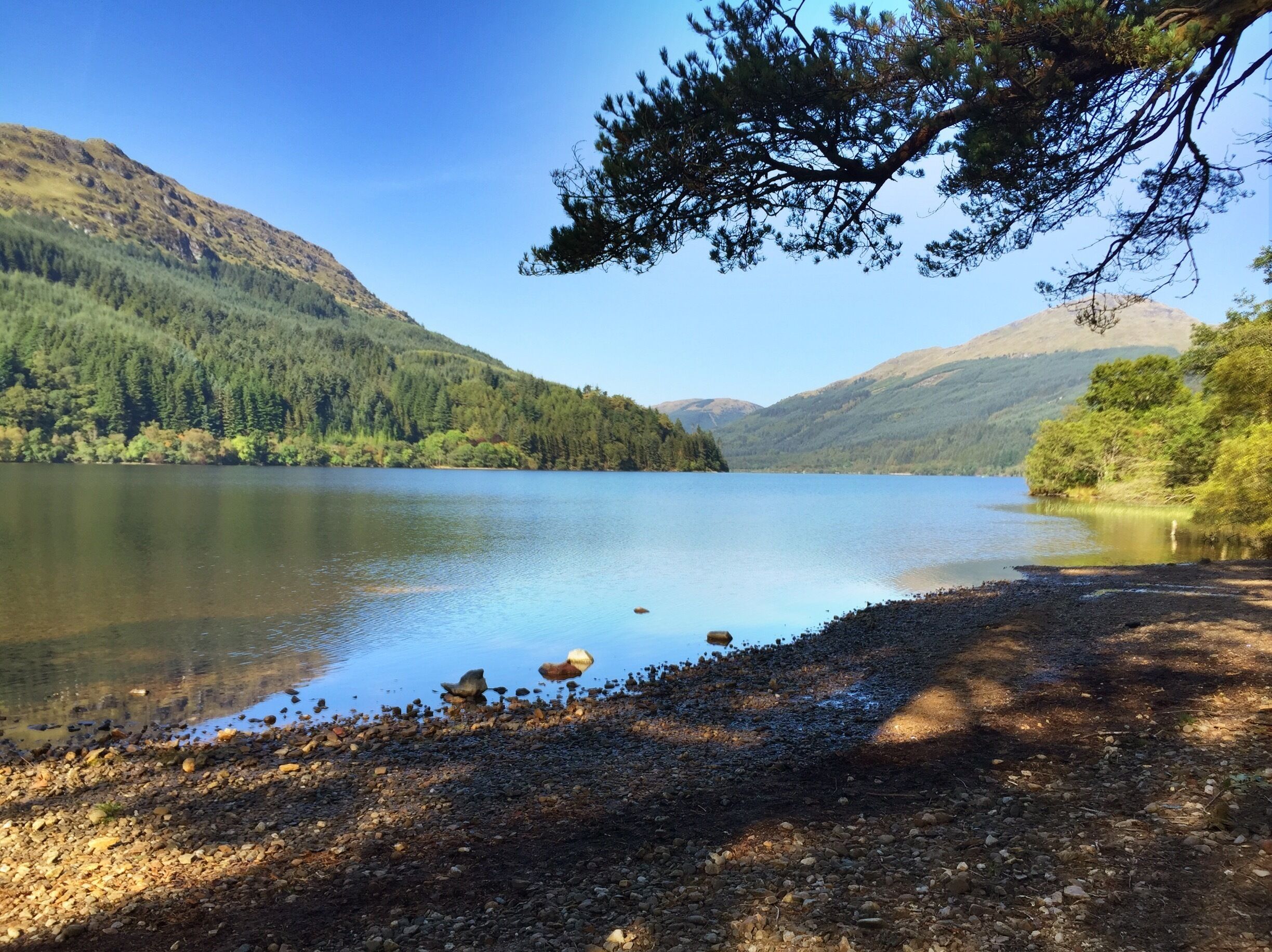 Loch Eck in Argyll. Thick fog had just cleared to reveal a glorious autumn day. 