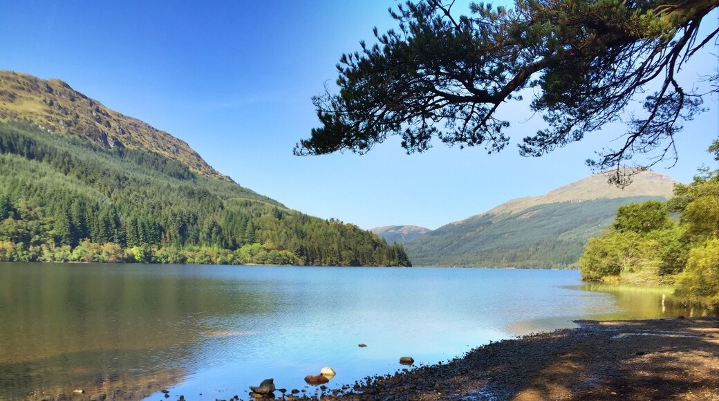 Loch Eck in Argyll. Thick fog had just cleared to reveal a glorious autumn day.