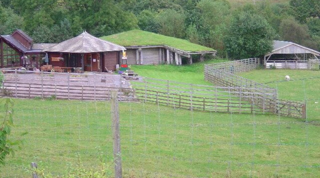 Visitor Centre, Glenmore. Roughly halfway between Strontain and Ardnamurchan Point this Centre is a welcome break for those driving the arduous single track road. It is also a chance to see wild pine martins sleeping in a den during the day.