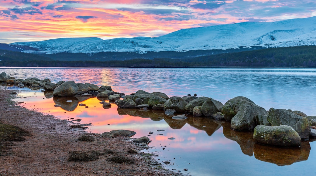 A calm lake with a rocky shoreline and snow-capped mountains in the background.