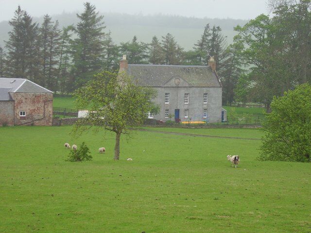 Justicehall, Oxton. Jacob sheep graze on the edge of the village.