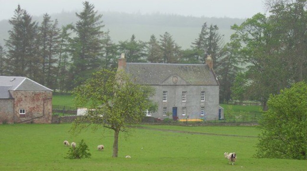 Justicehall, Oxton. Jacob sheep graze on the edge of the village.