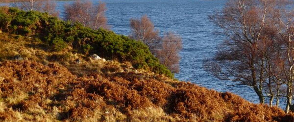 A lake surrounded by hills and sparse vegetation.