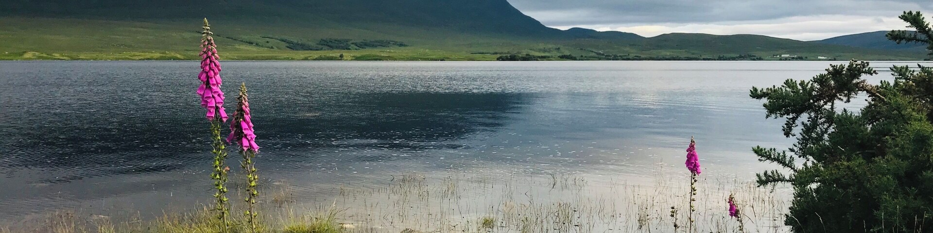 Grumore altnaharra is beautiful