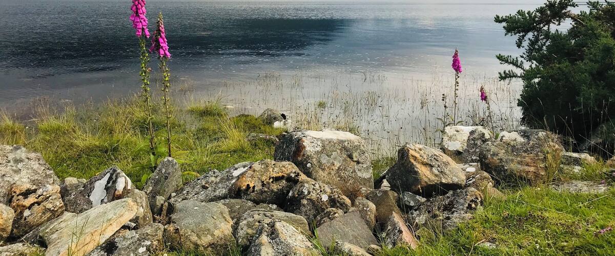 A lake with mountains in the background, surrounded by rocks and grass.