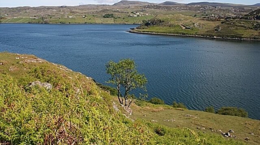 Loch Inchard The headland across the loch is just in this square, but the cottages at Achriesgill beyond are not.