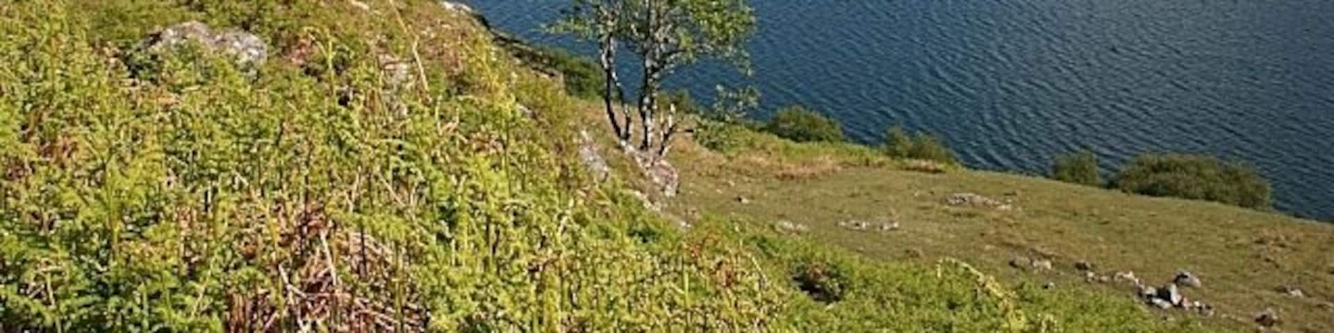 Loch Inchard The headland across the loch is just in this square, but the cottages at Achriesgill beyond are not.