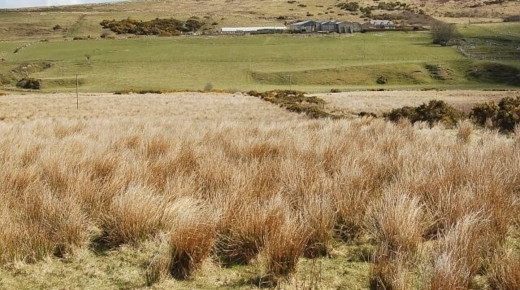 Croftland, Boultach Looking down towards the Latheronwheel Burn.