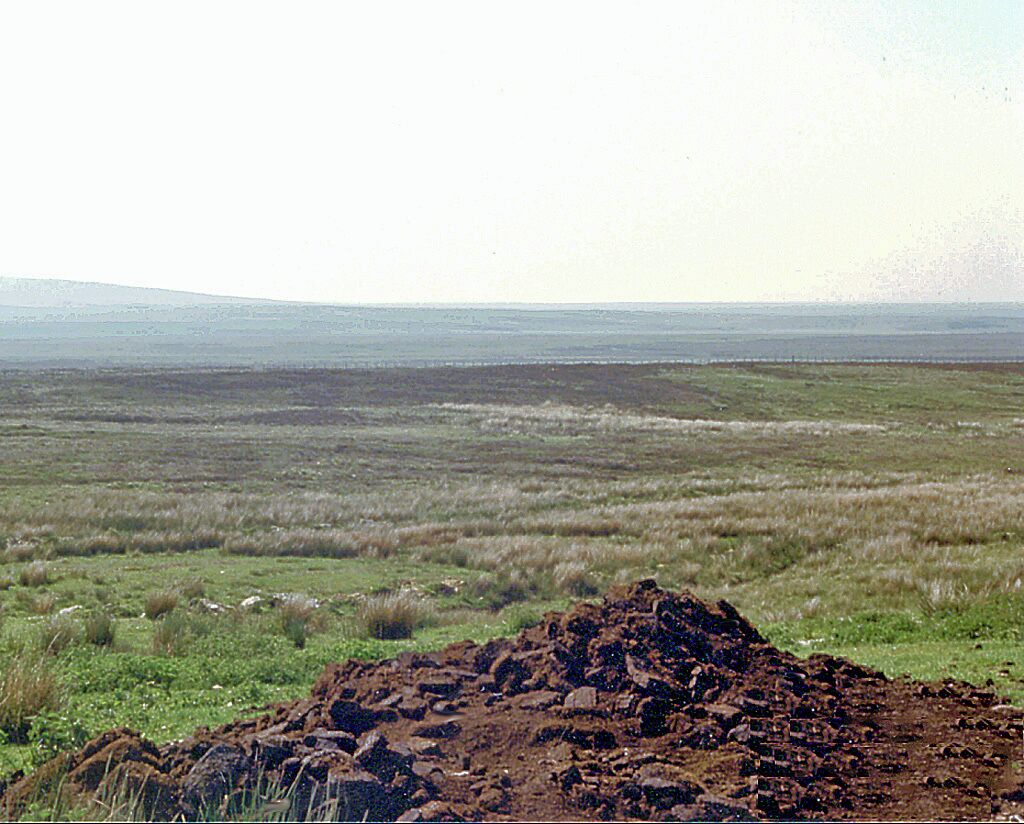 A vast open field with a mound of earth in the foreground.