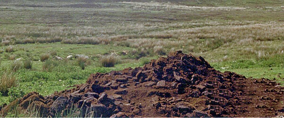 A vast open field with a mound of earth in the foreground.