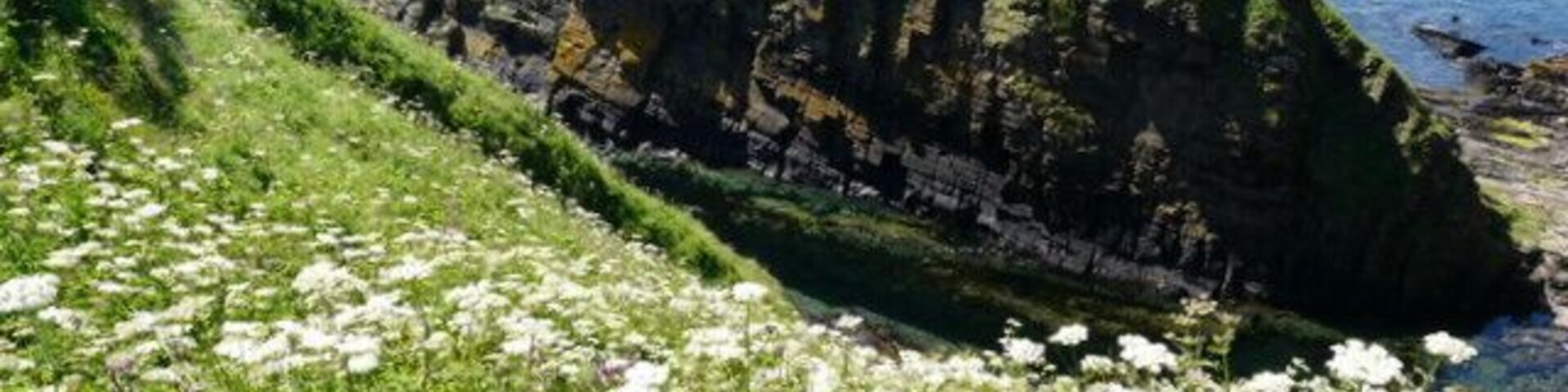 Shoreline near Forse castle.