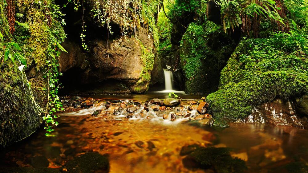 A waterfall in a lush, green forest with moss-covered rocks and a clear stream.