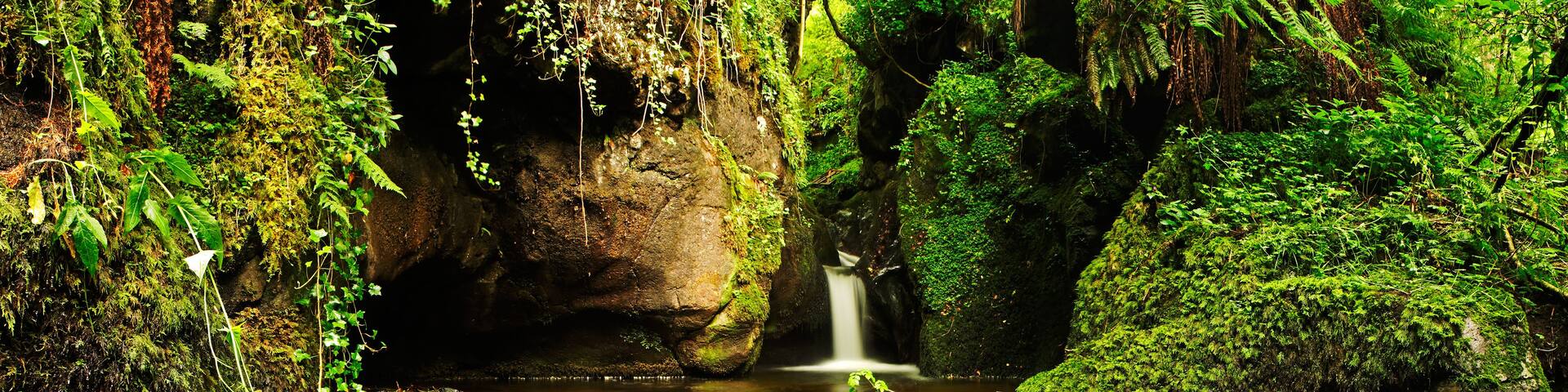 A waterfall in a lush, green forest with moss-covered rocks and a clear stream.
