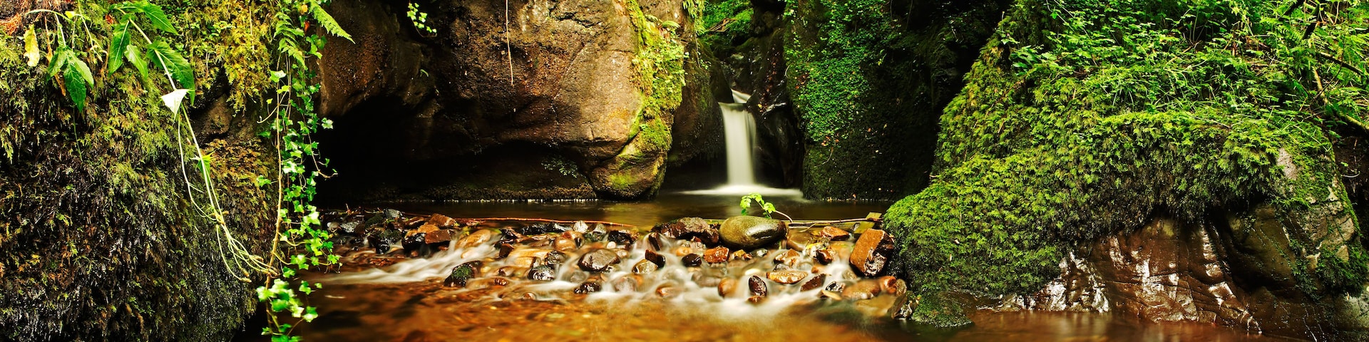 A waterfall in a lush, green forest with moss-covered rocks and a clear stream.