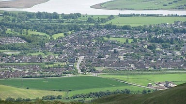 View of Tullibody and the Forth from Colsnaur Hill.