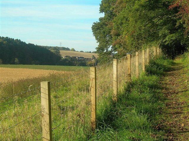 The River Ayr Way Here the Way follows the edge of Holm Bank, above the Floodplain of Enterkine Holm. Dalmore is visible on the other side of the river.