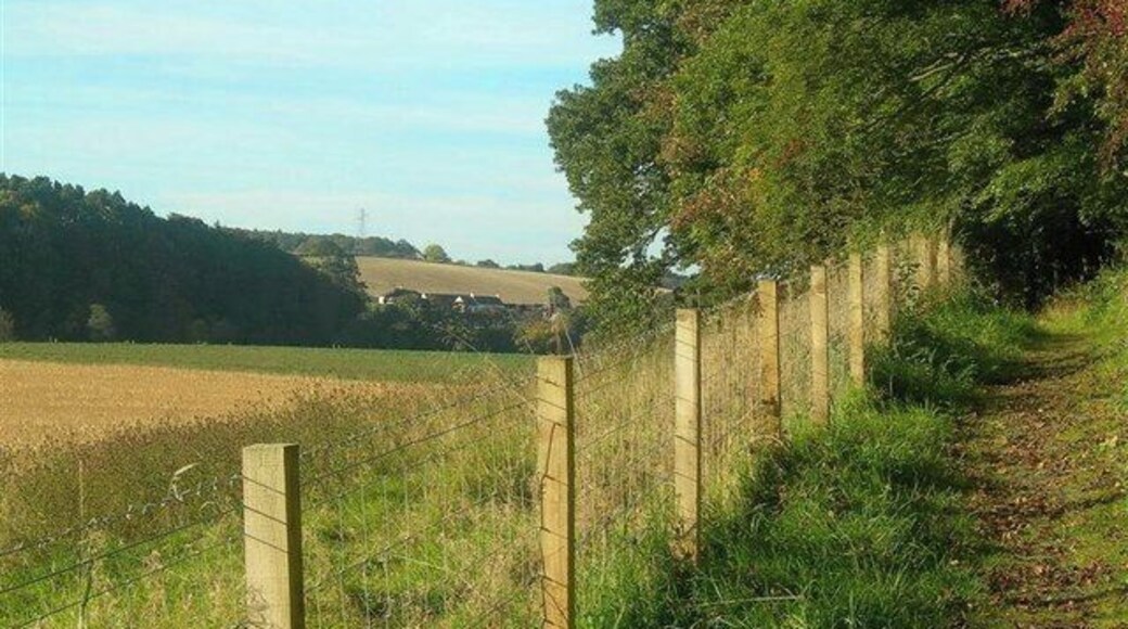 The River Ayr Way Here the Way follows the edge of Holm Bank, above the Floodplain of Enterkine Holm. Dalmore is visible on the other side of the river.