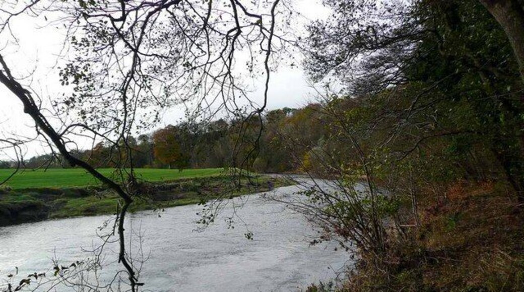 The River Ayr at Stair