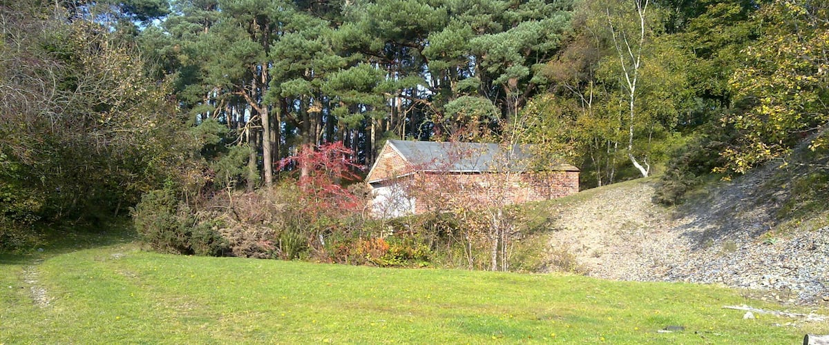 A grassy field with a stone wall, trees, and a building with a red roof.