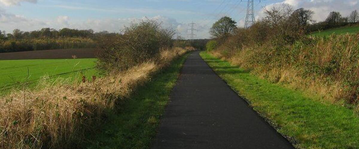 A rural pathway flanked by fields and a power line tower.