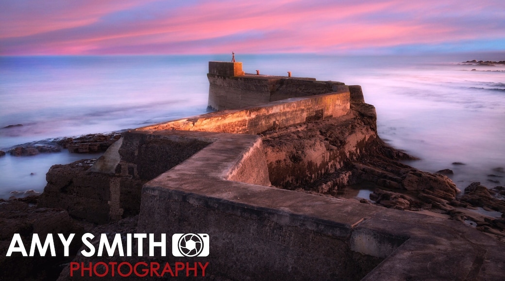 Unless you look over the wall at the Harbour- you would never know this pier was there!
Caught a beautiful, and then went for fish and chips! Just perfect.
St Monans is a lovely wee. I'll she just outside St Andrews- well worth a visit.