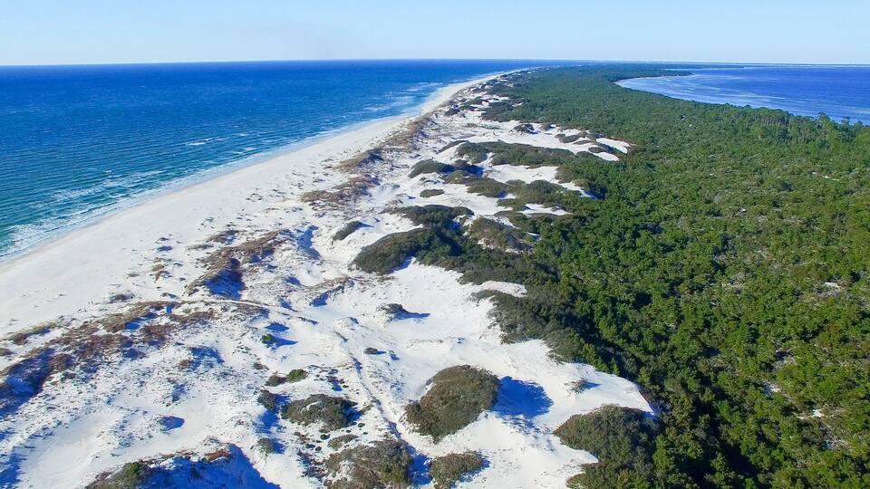 A coastal landscape with a sandy beach, dense forest, and a clear blue ocean.