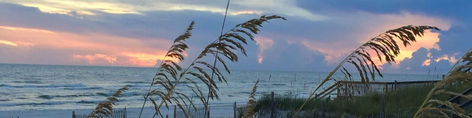 Sunset through the sea oats at Cape San Blas, Florida. Beautiful beaches, very quite; a perfect place to come and relax.