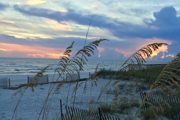 Sunset through the sea oats at Cape San Blas, Florida. Beautiful beaches, very quite; a perfect place to come and relax.