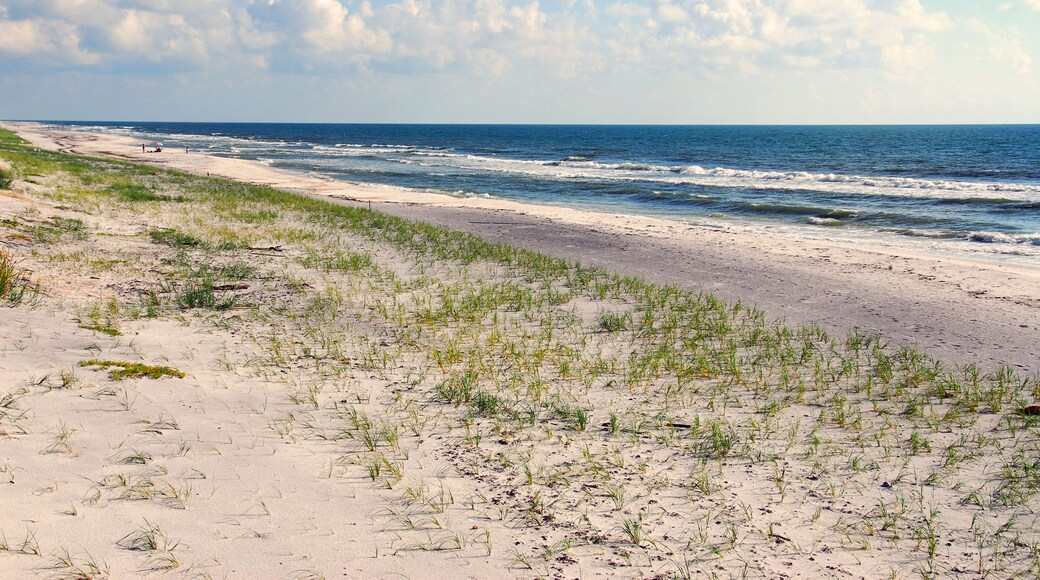 ANWFG8 Florida Panhandle Gulf beach St Joseph Peninsula State Park