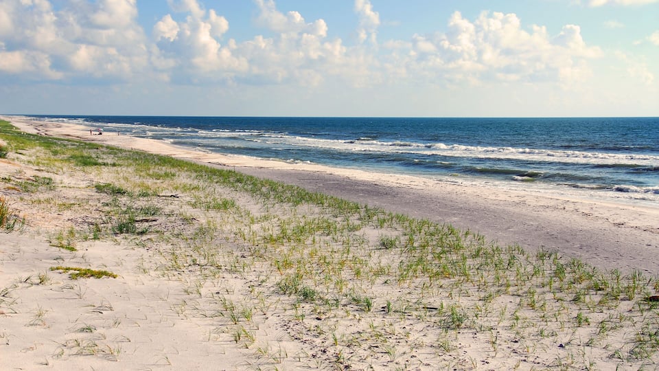 A beach with sand dunes and sparse vegetation.
