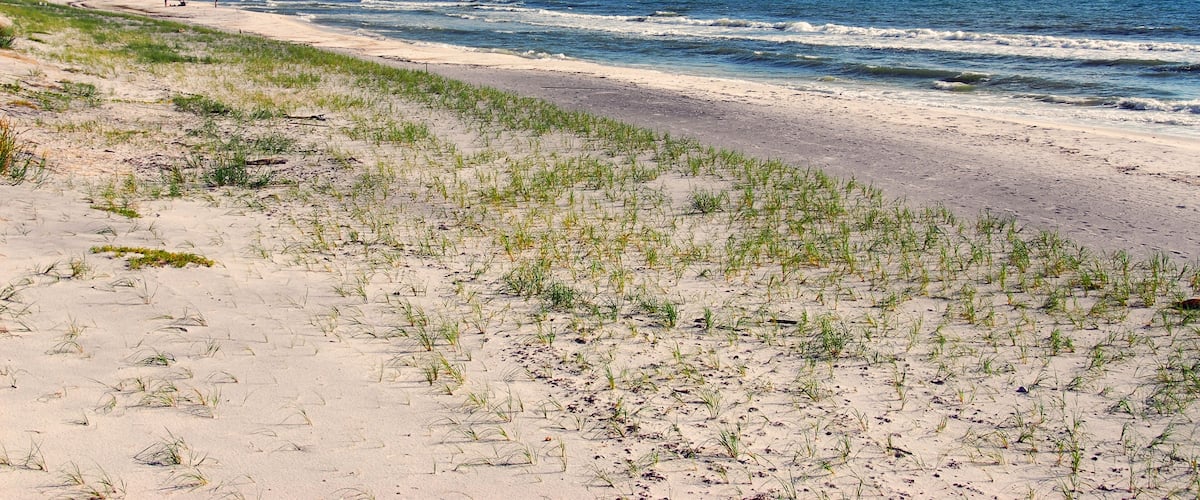 ANWFG8 Florida Panhandle Gulf beach St Joseph Peninsula State Park