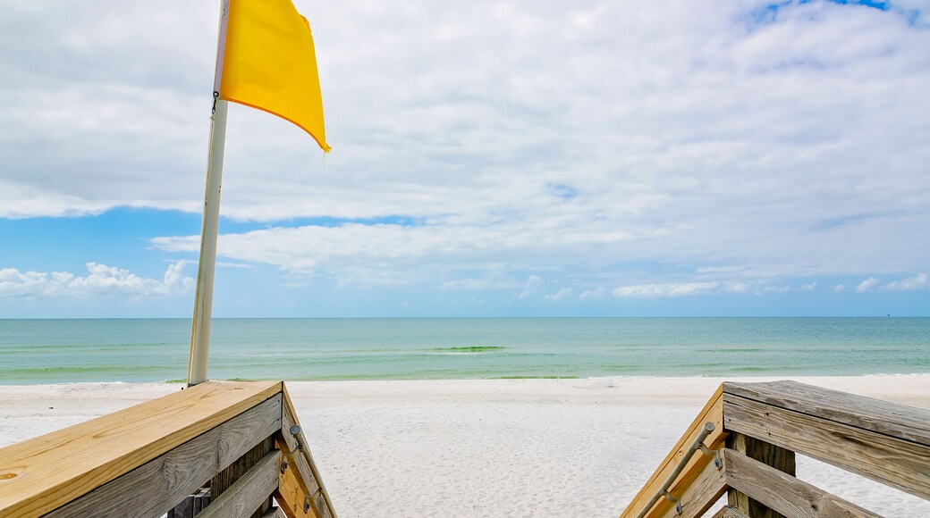 Yellow flag on beach in St. Joseph Peninsula State Park in Port St. Joe Florida