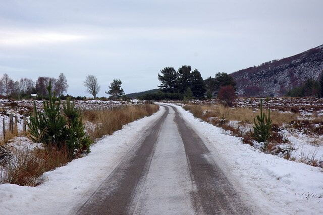 Minor road near Abriachan