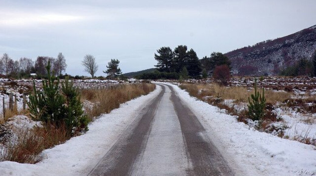 Minor road near Abriachan