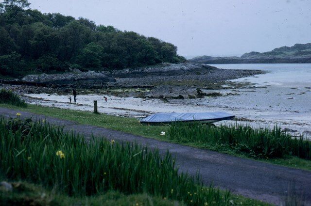 A coastal road with a beach, a tent, and dense greenery.