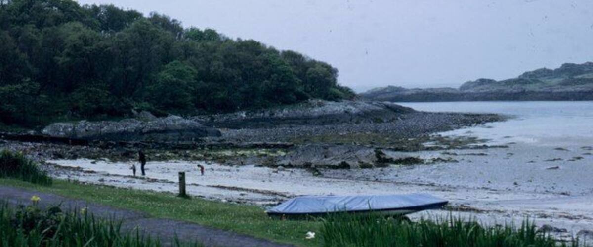 A coastal road with a beach, a tent, and dense greenery.