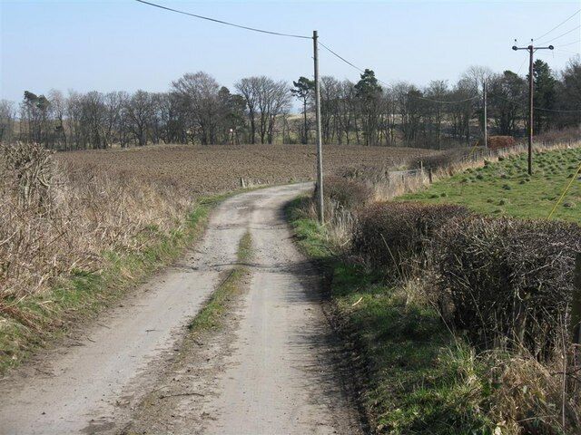 Farm road to Shewington