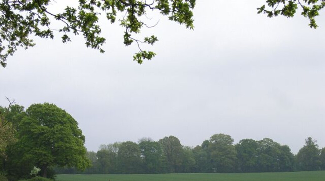 Farmland near Mill Lane. On the footpath east of Itchel Mill Springs.