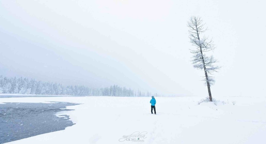 冬日恋歌 II 喀纳斯 新疆 ❄️