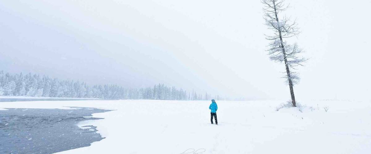 A person walking on a snow-covered path with a tree on the right and a forest in the background.
