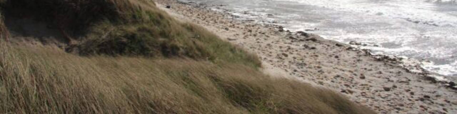 Sand dunes in Taracliff Bay Looking eastwards from the dunes that link Orkney Mainland with the Deerness Peninsula.