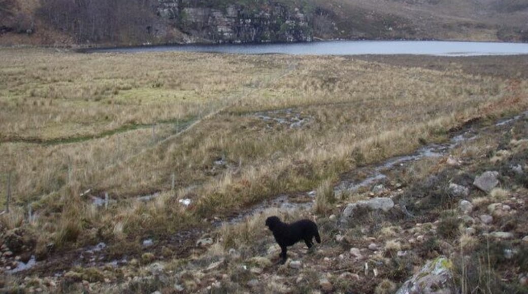 Boggy ground by Loch na Fideil